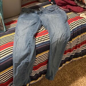 Daniel Cremieux Blue Women's Boot Cut Jeans